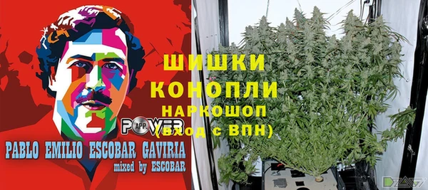 винт Мегион