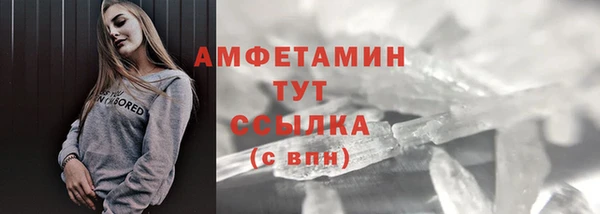 гидра Майский