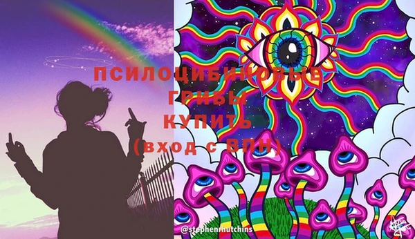 прущие грибы Лагань