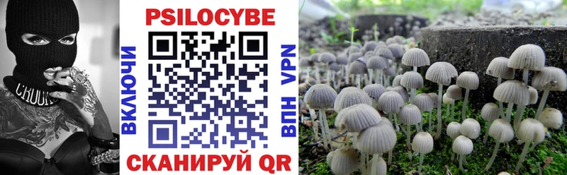 Псилоцибиновые грибы прущие грибы  дарк нет телеграм  Мелеуз  omg рабочий сайт 